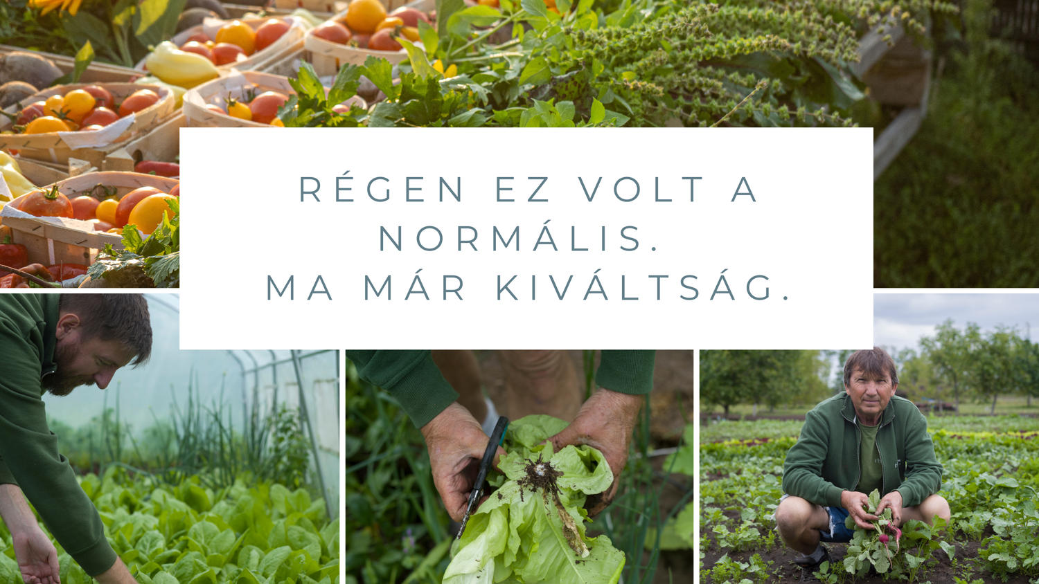 Régen ez volt a normális. Ma már kiváltság.