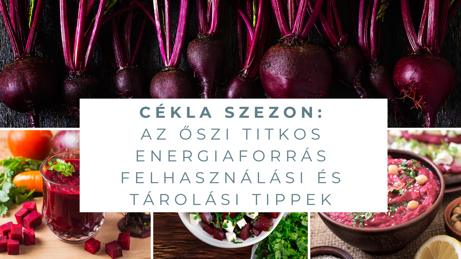 Cékla szezon: Az őszi titkos energiaforrás felhasználási és tárolási tippek