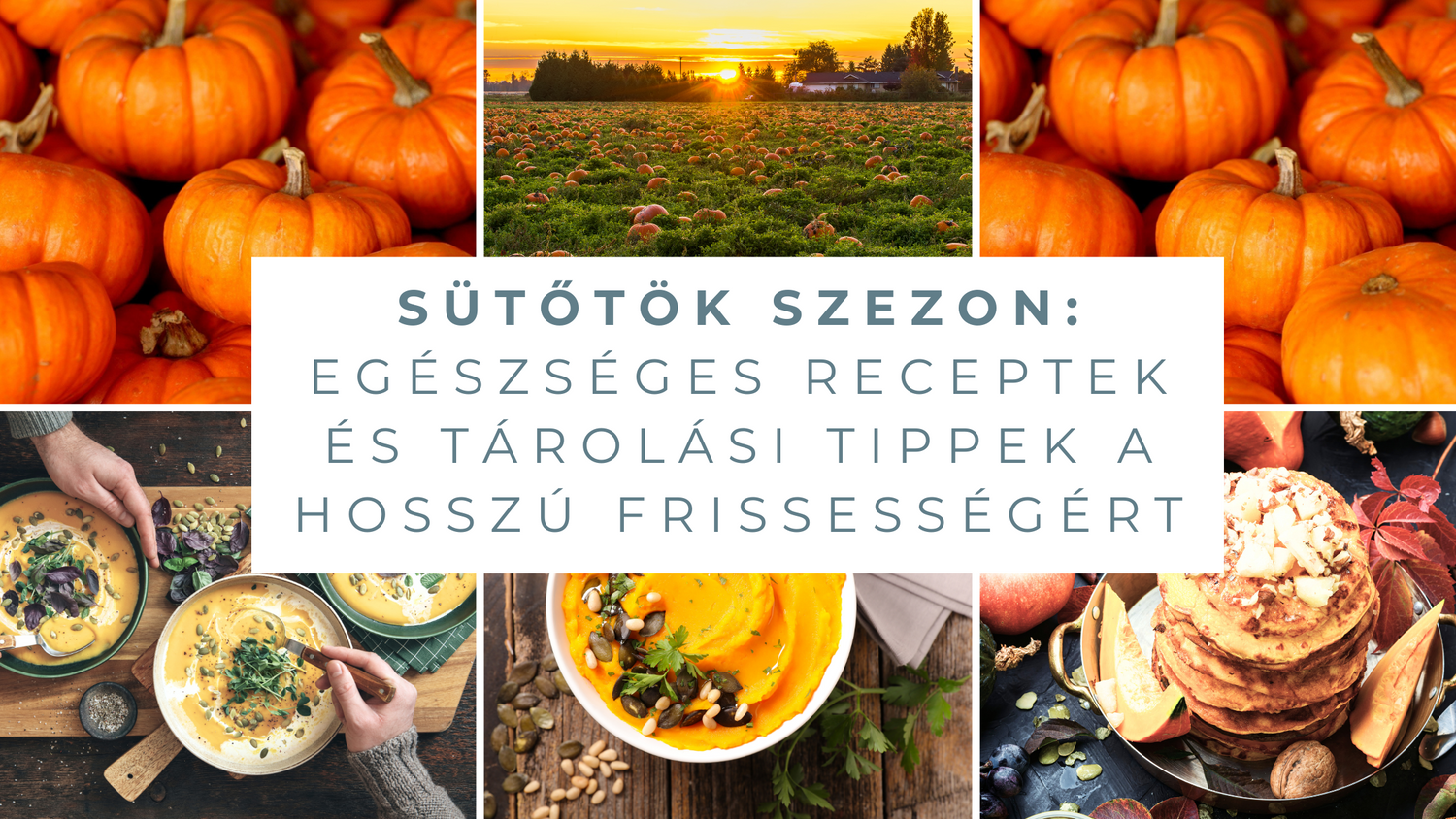 Sütőtök szezon: Egészséges receptek és tárolási tippek a hosszú frissességért