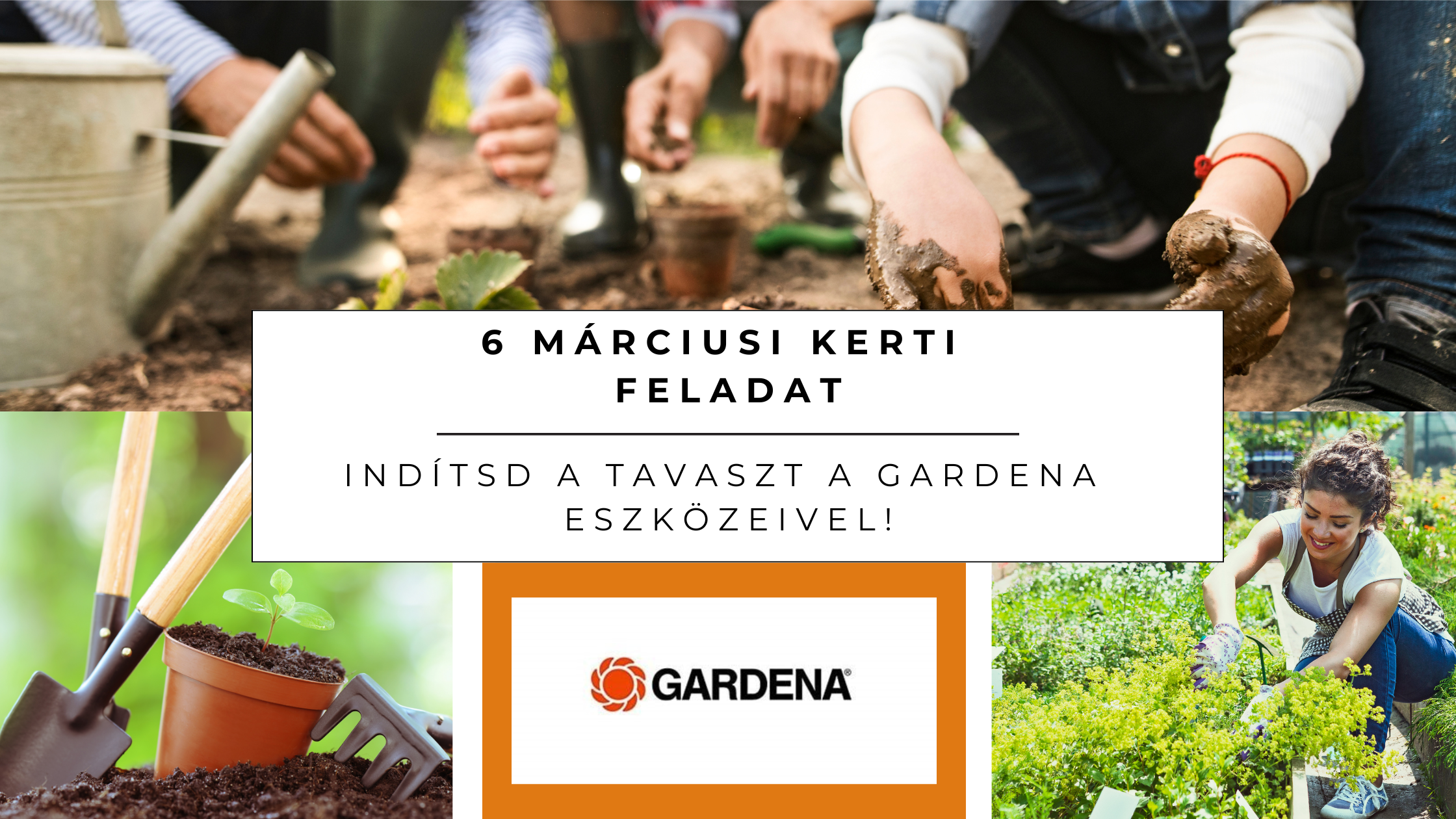6 márciusi kerti feladat: Indítsd a tavaszt a Gardena eszközeivel!