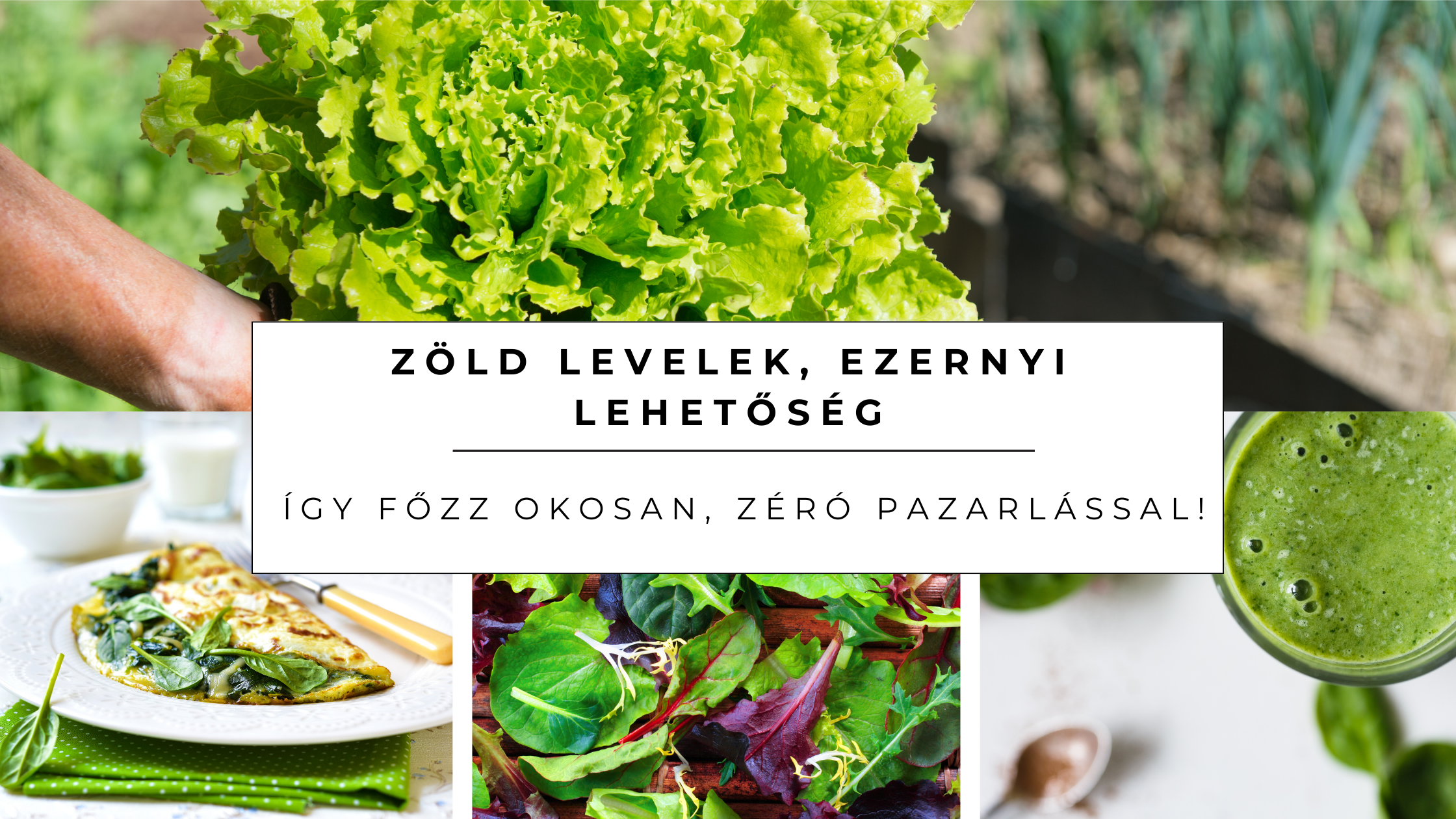 🌿 Zöld levelek, ezernyi lehetőség – avagy hogyan főzz okosan, zéró pazarlással