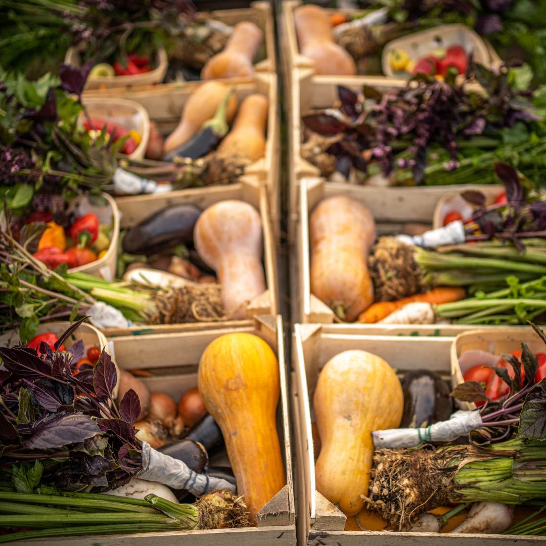 Novemberi próbakosár