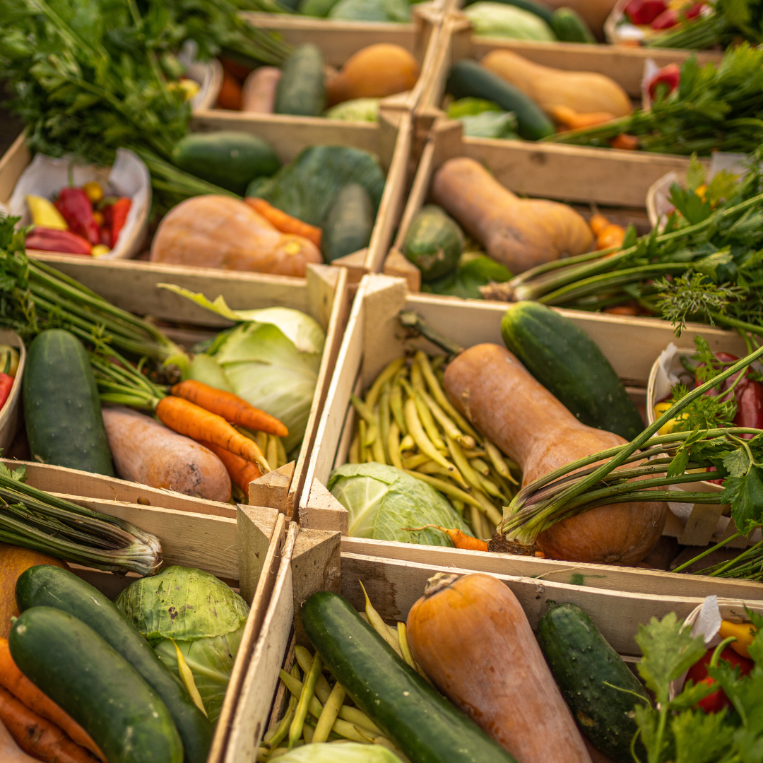 Novemberi próbakosár