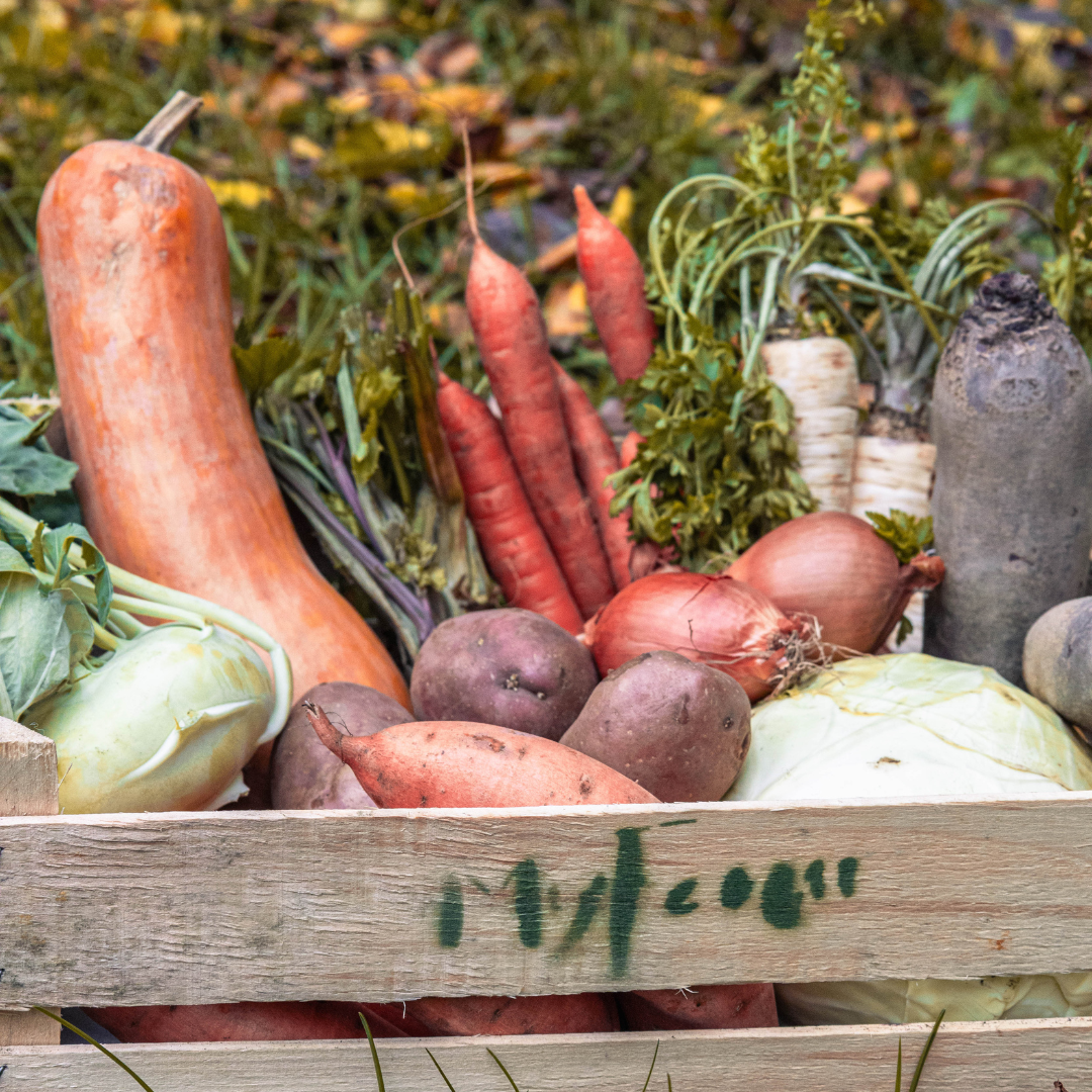 MyFarm téli zöldség előfizetés