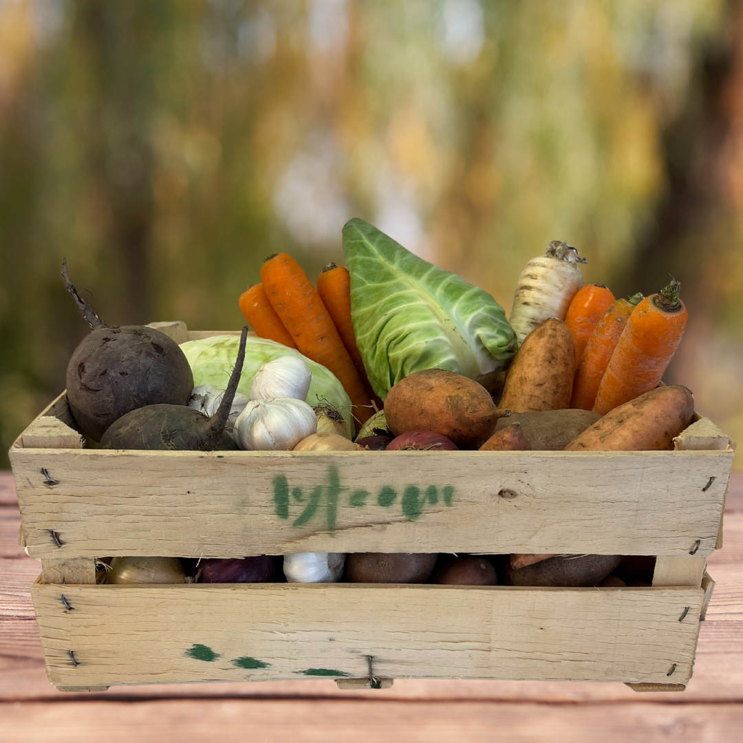 MyFarm téli zöldség előfizetés