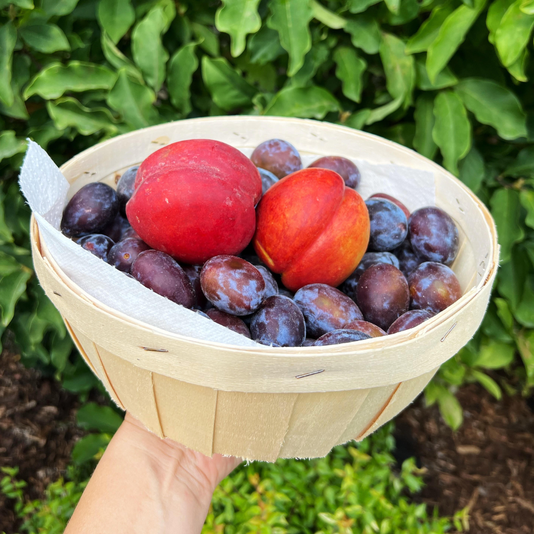 Egészítsd ki nyári zöldségkosaradat friss gyümölcsökkel