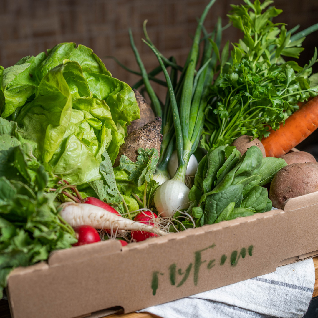 MyFarm Kiskosár – Nyári Előfizetés heti és kétheti változatban