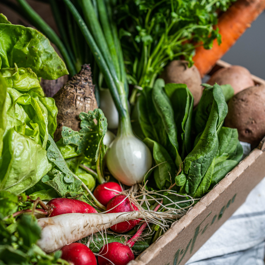 MyFarm Kiskosár – Nyári Előfizetés heti és kétheti változatban