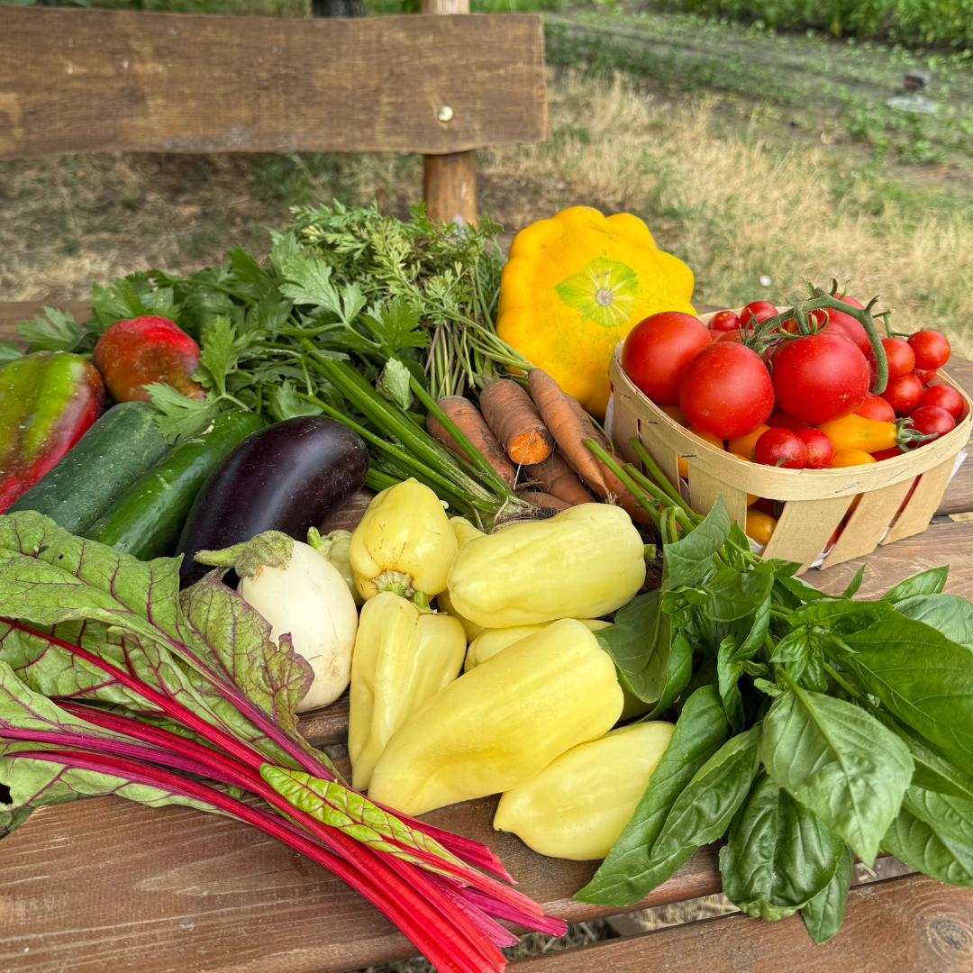 MyFarm Zöldség kosár - Nyári előfizetés 2026