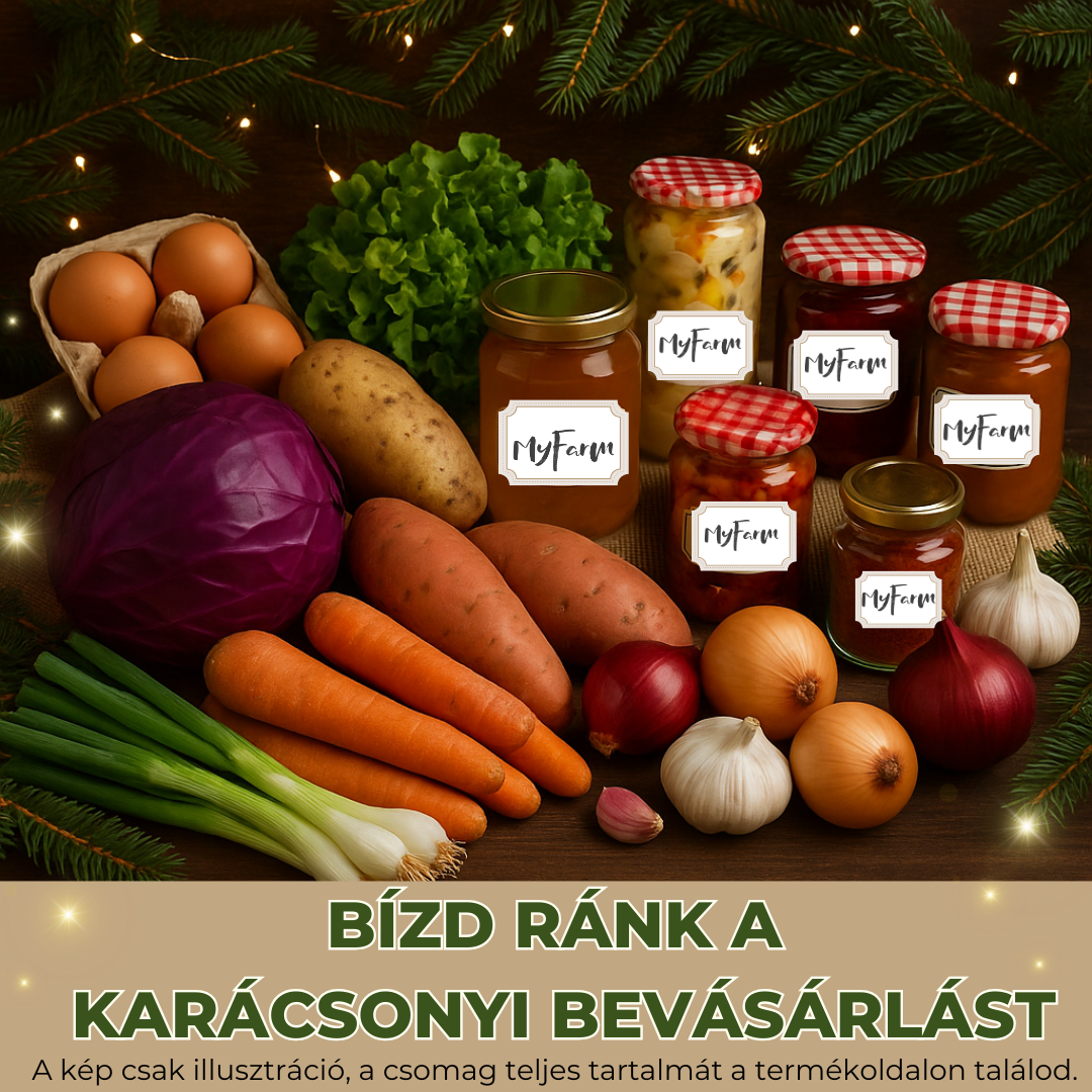 Karácsonyi bevásárlás