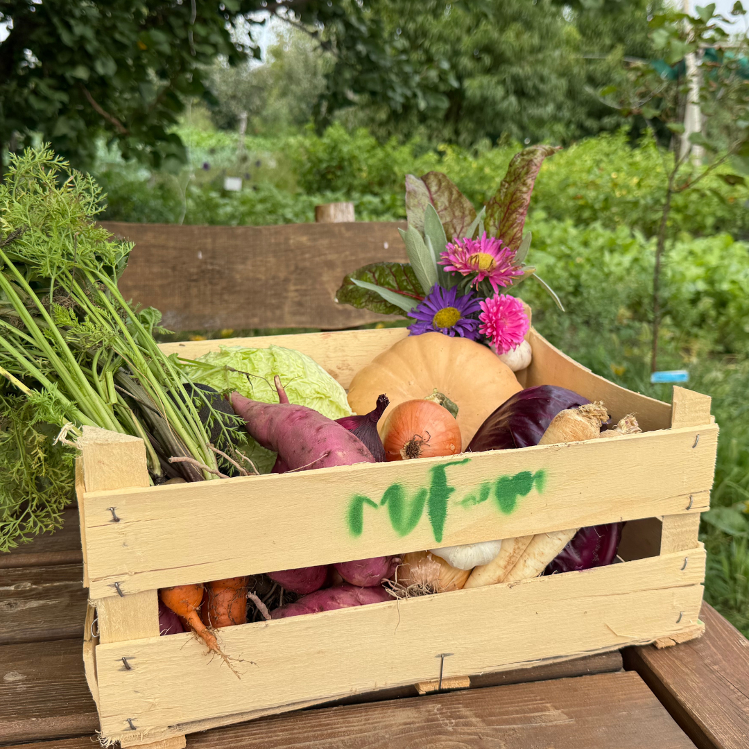 Havi előfizetés- Április ízei