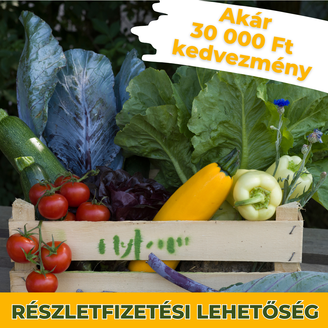 MyFarm Zöldség kosár - Nyári előfizetés 2026