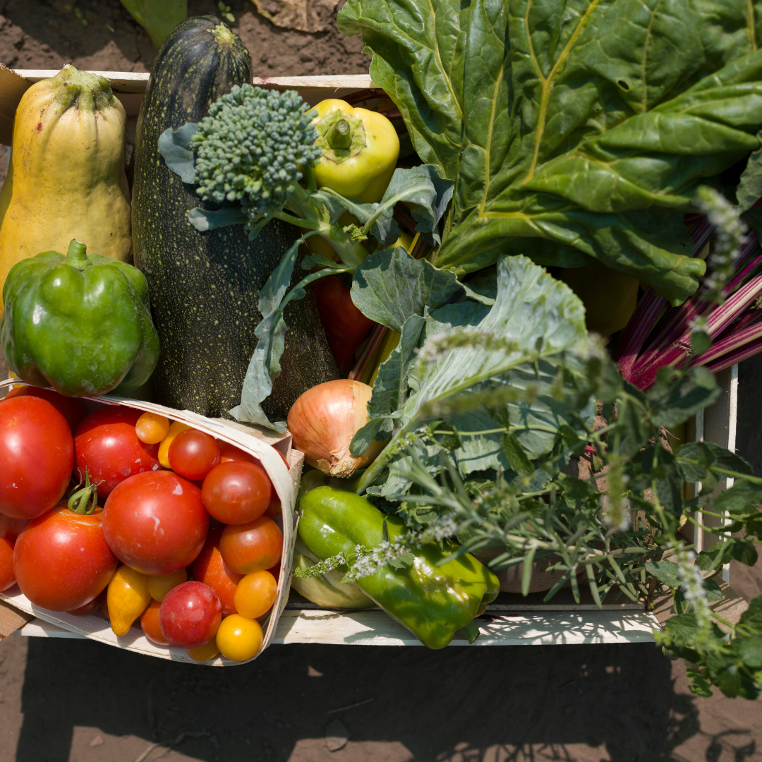 MyFarm Zöldség kosár - Nyári előfizetés 2026