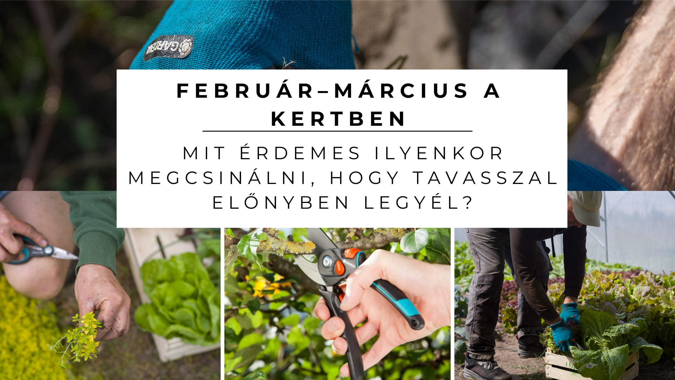 Február–március a kertben – mit érdemes ilyenkor megcsinálni, hogy tavasszal előnyben legyél?