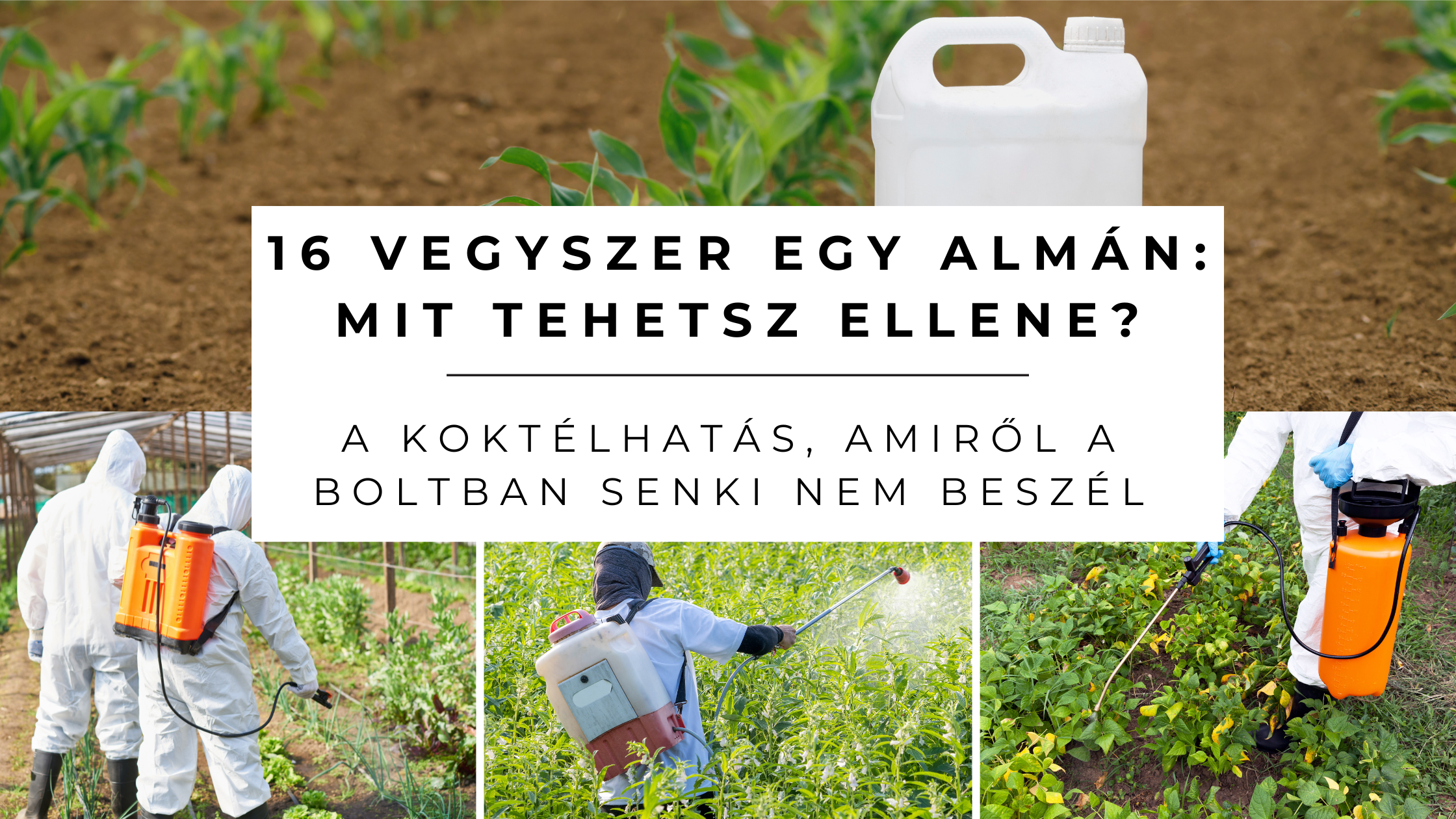 Vegyszerek a tányérodon: mit mond a tudomány, és mit tehetsz, ha nem jutsz vegyszermentes zöldséghez