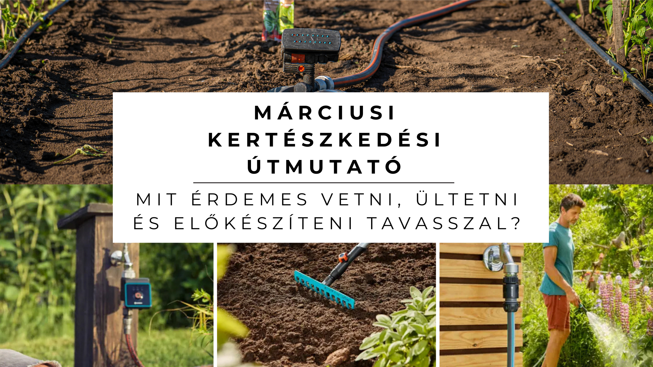 Mit érdemes csinálni a kertben márciusban? Hasznos tippek kertbe, balkonra és teraszra