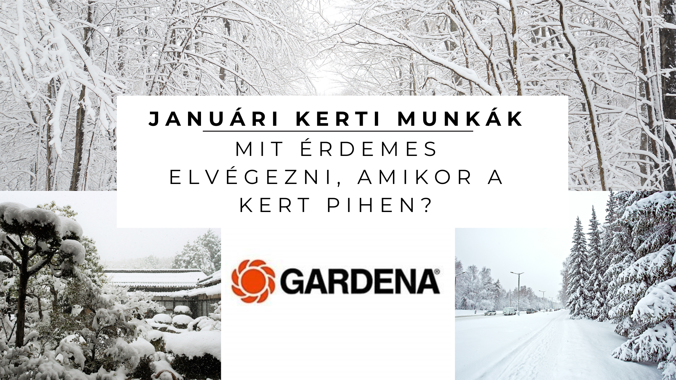 Januári kerti munkák – mit érdemes elvégezni, amikor a kert pihen?