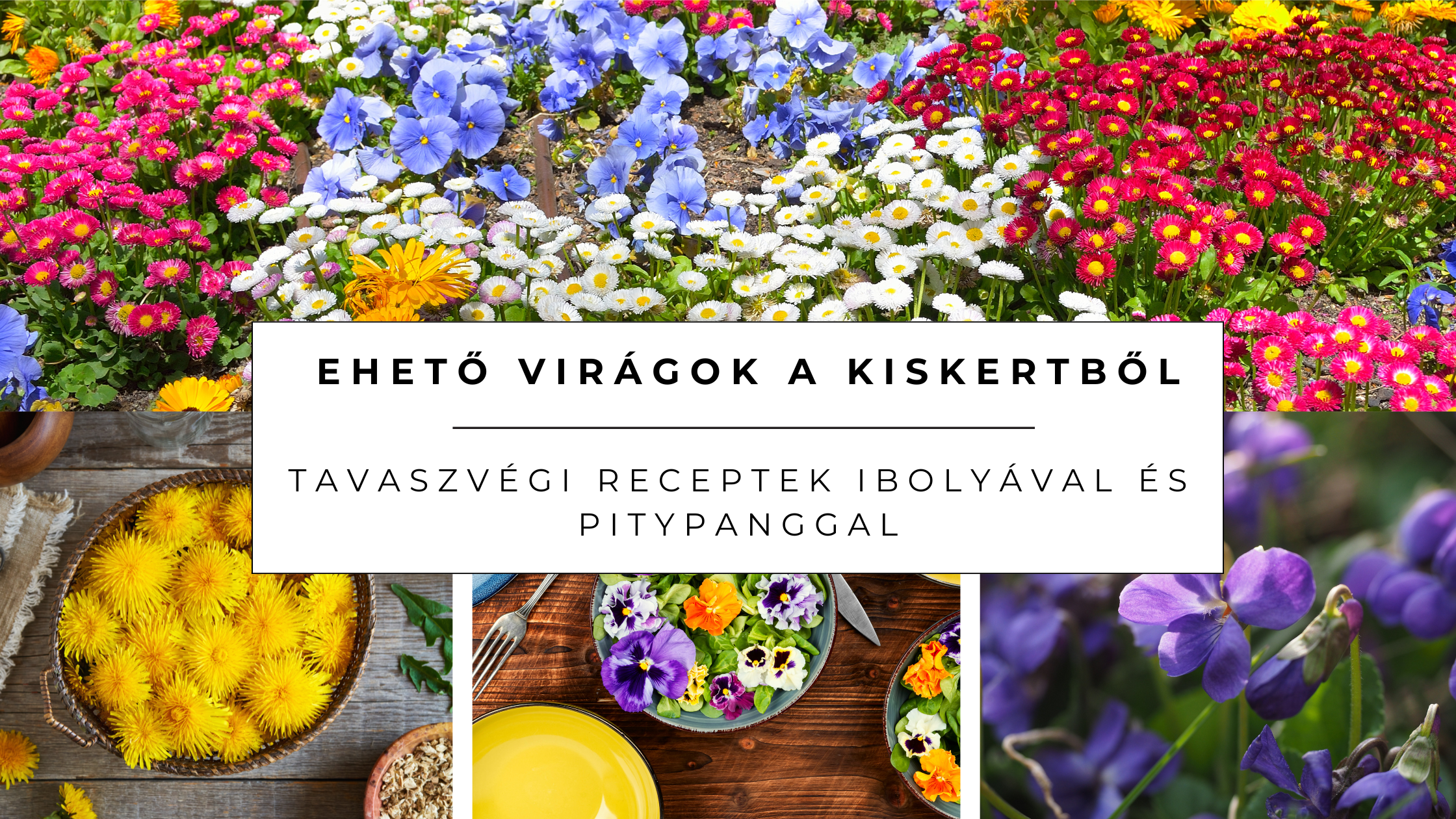 🌸 Ehető virágok a kiskertből – tavaszvégi receptek ibolyával és pitypanggal