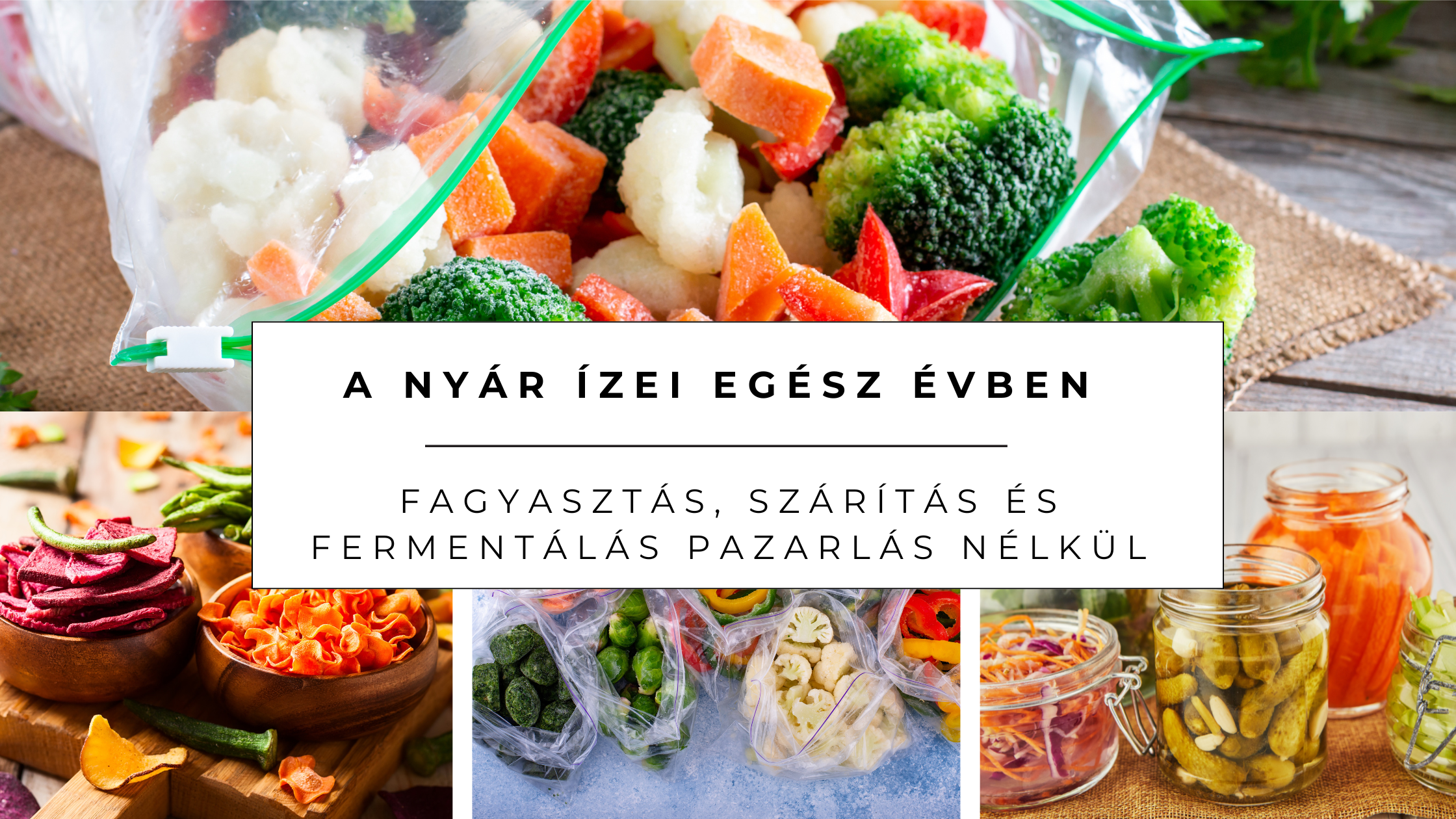 A nyár ízei egész évben – fagyasztás, szárítás és fermentálás pazarlás nélkül