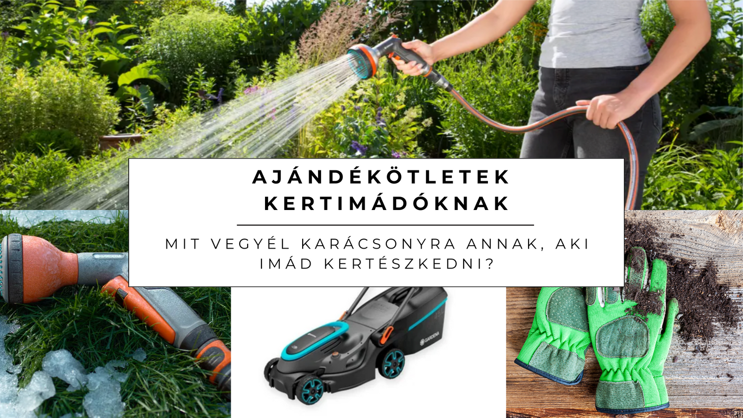 Ajándékötletek kertimádóknak: Mit vegyél karácsonyra annak, aki imád kertészkedni?