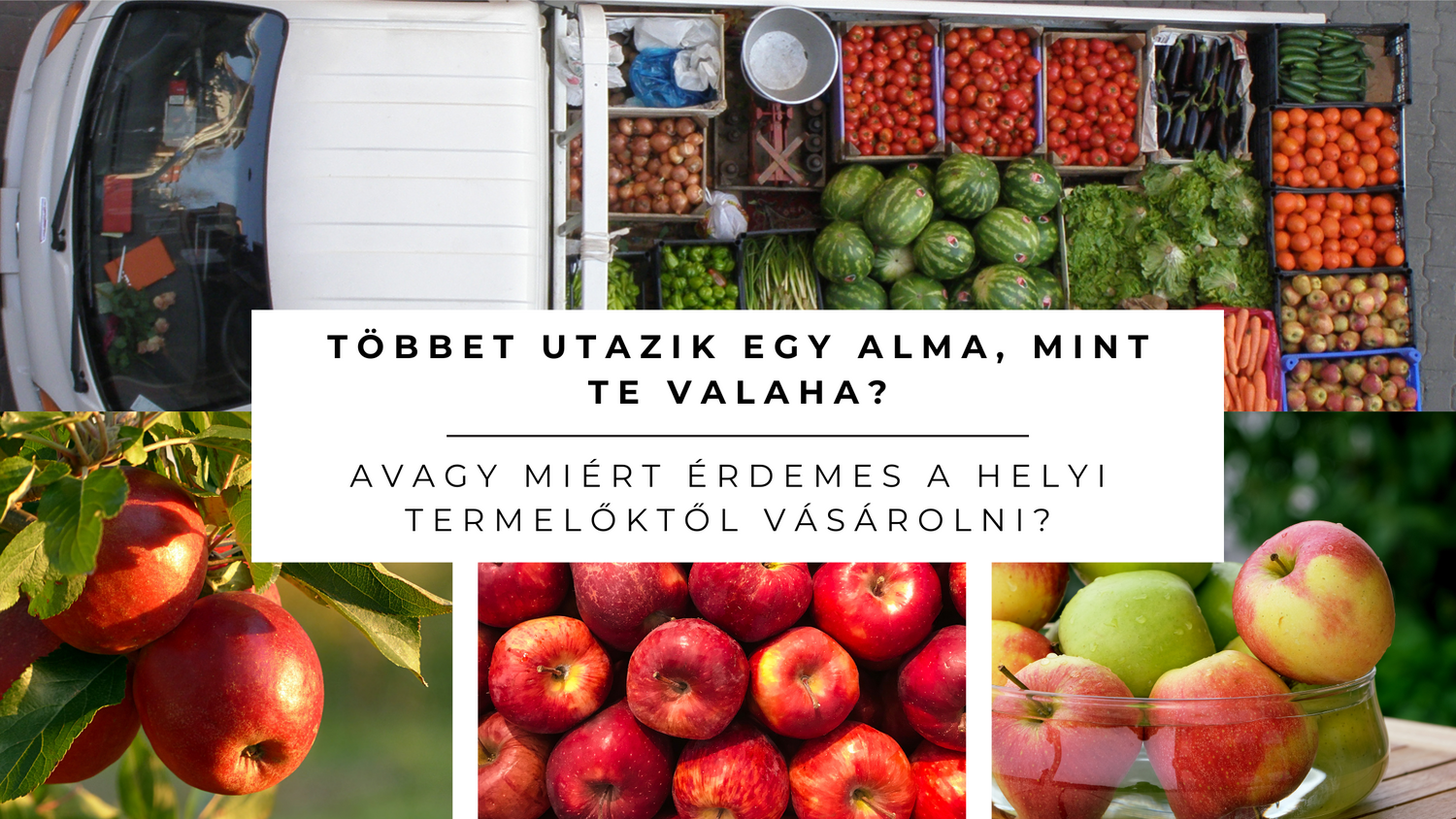 Többet utazik egy alma, mint te valaha? – Miért érdemes a helyi termelőktől vásárolni?