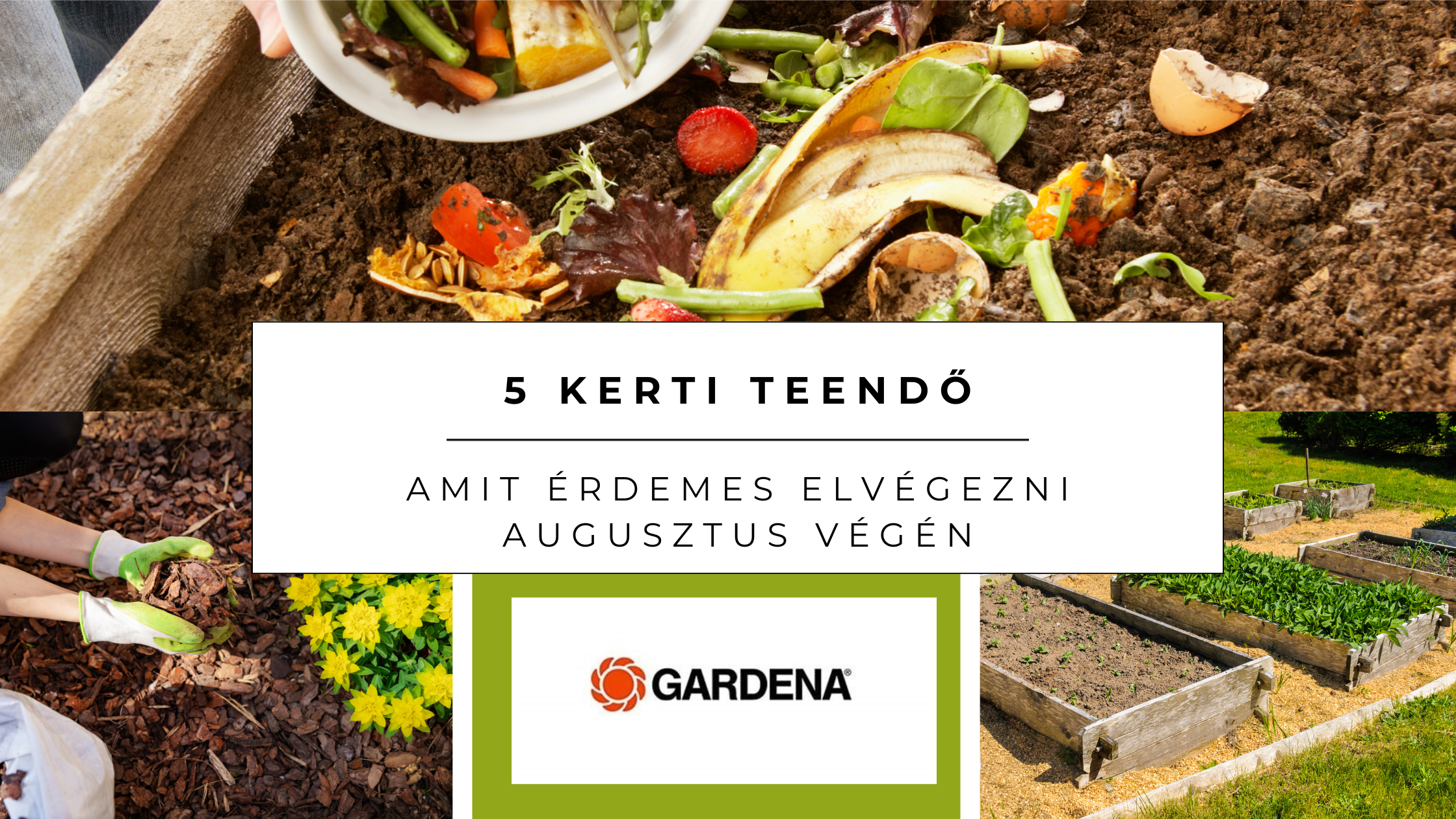 🍂 5 kerti teendő, amit érdemes elvégezni augusztus végén/szeptember elején