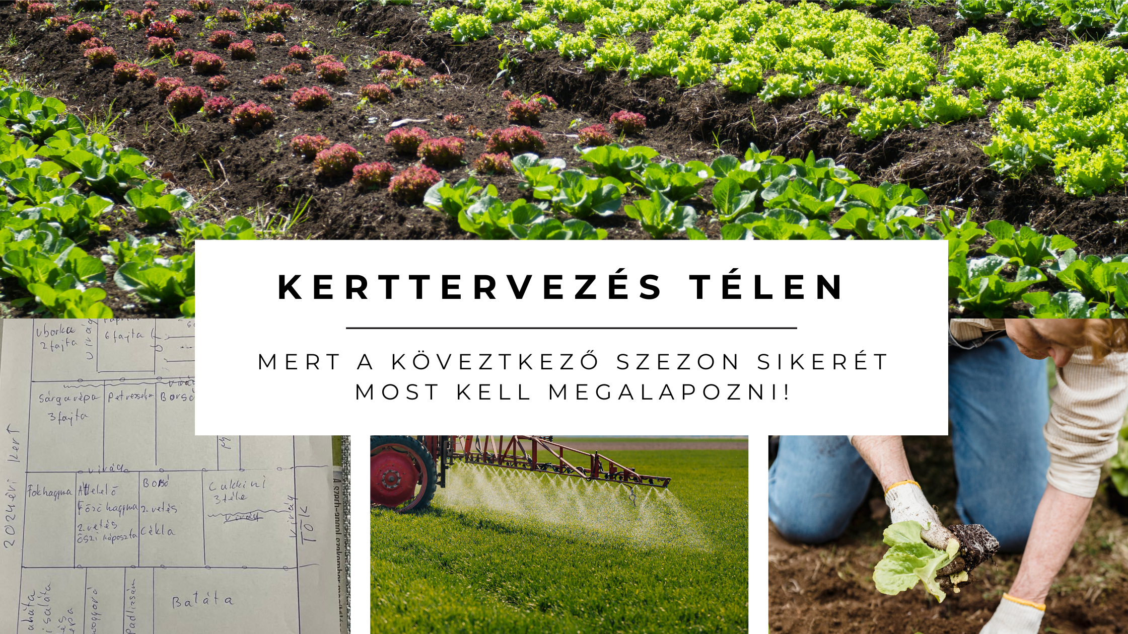 Téli kerttervezés - Alapozd meg a következő szezon sikerét!