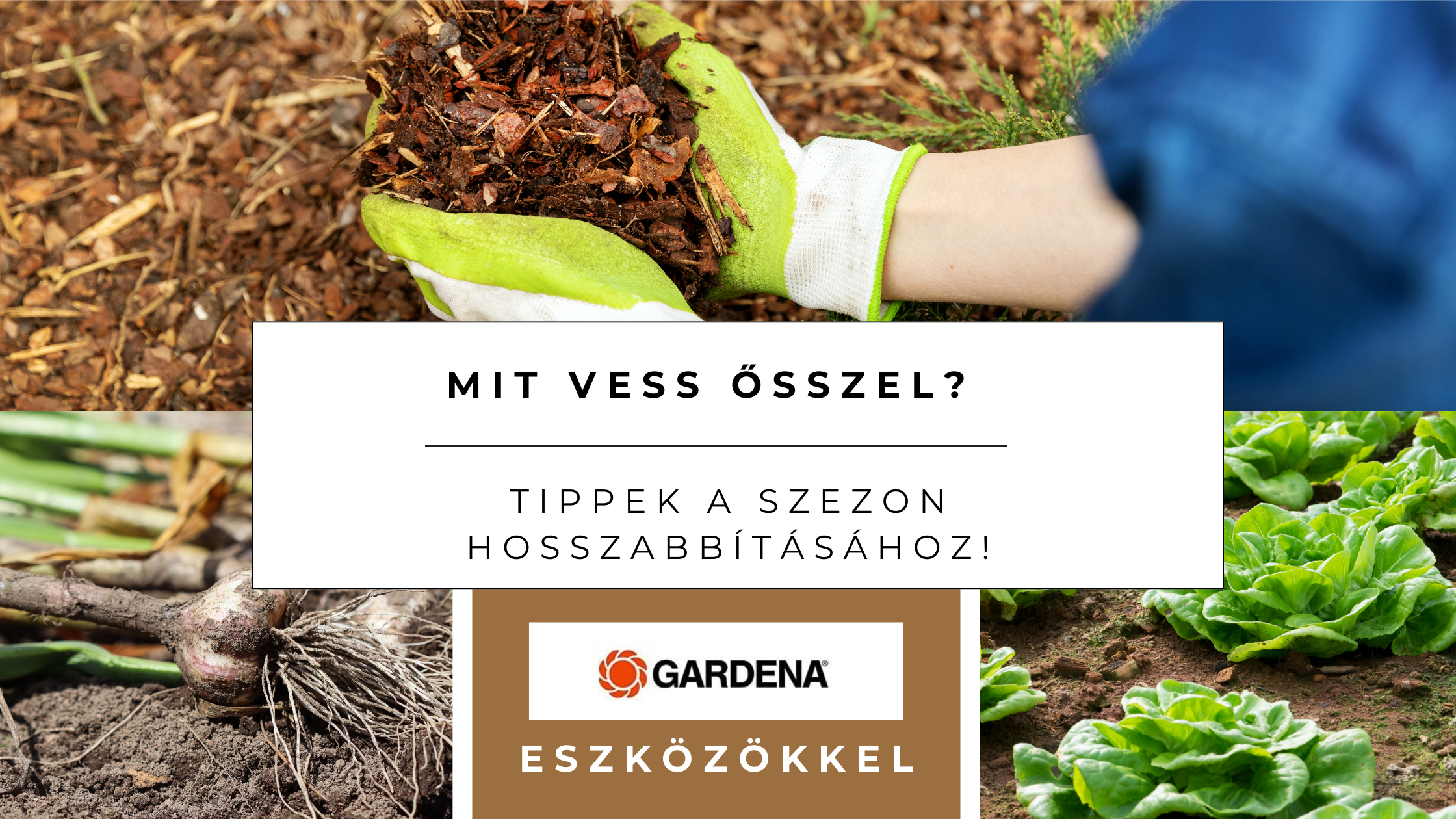 Mit vess ősszel? Tippek a szezon hosszabbításához
