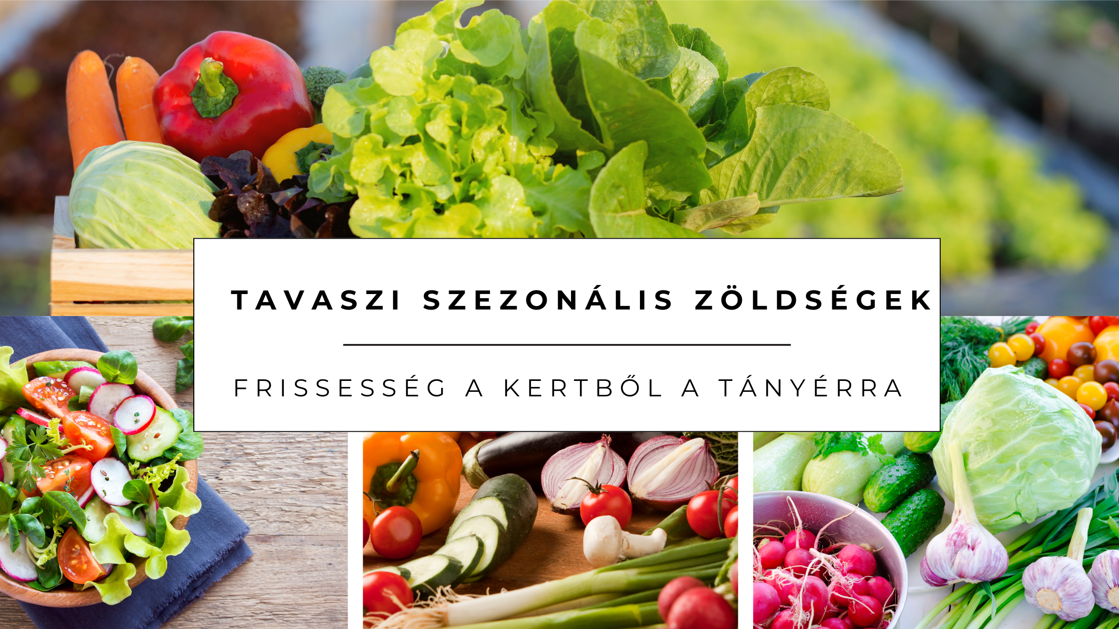 Tavaszi szezonális zöldségek – Frissesség a kertből a tányérra