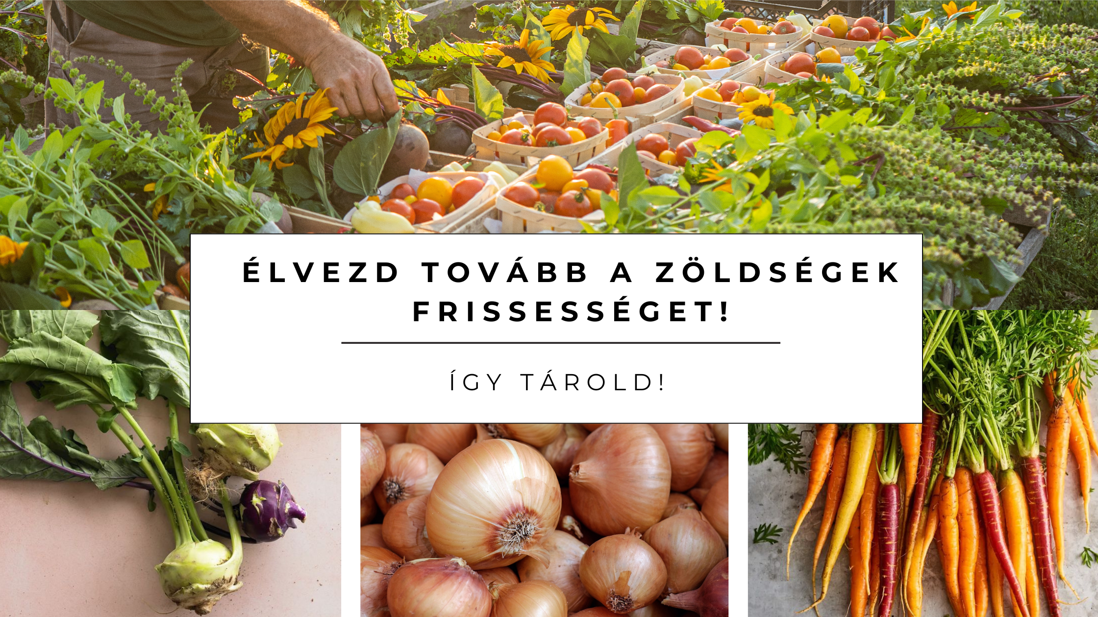 Élvezd tovább a zöldségek frissességet: Így tárold!