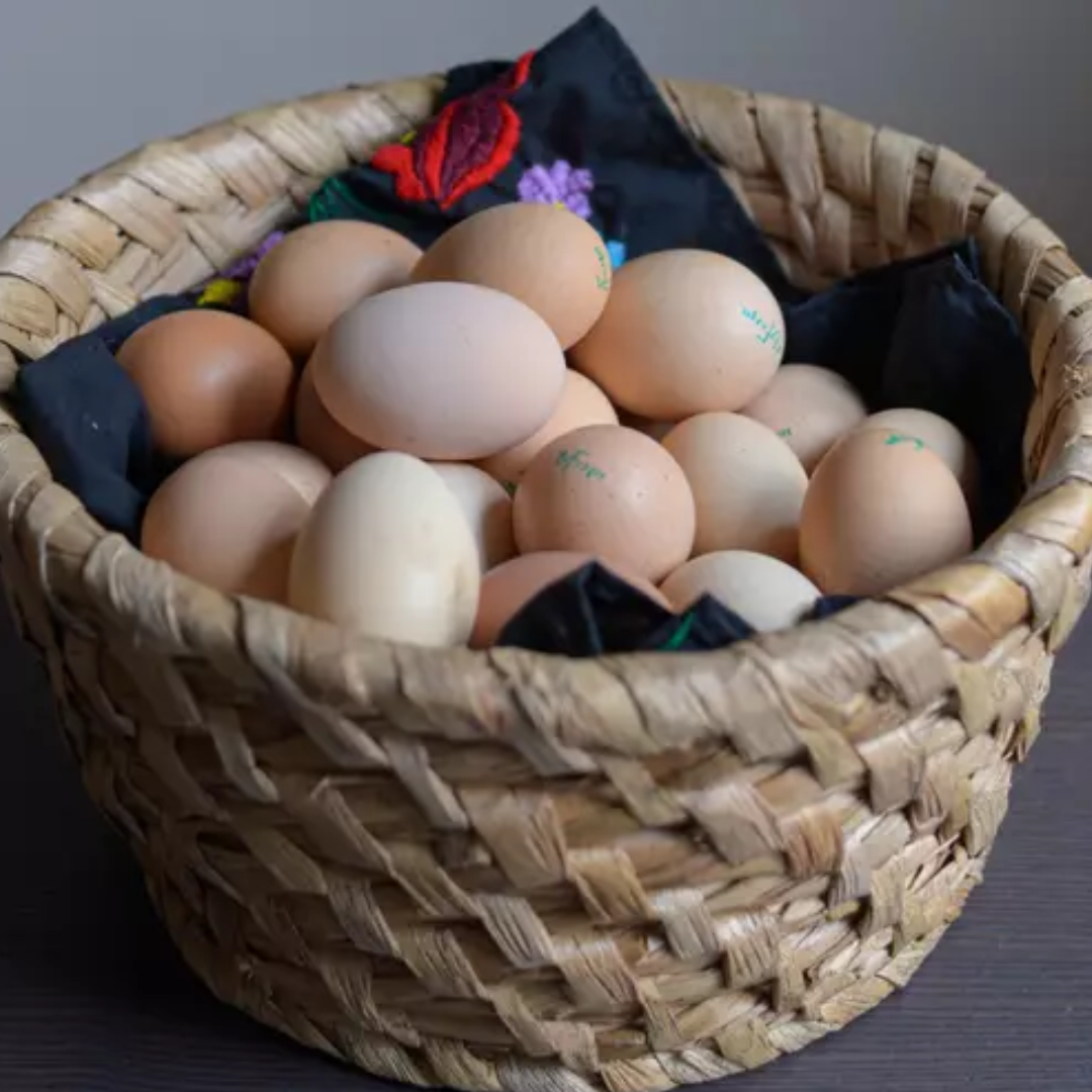 MyFarm Háztáji Tojás