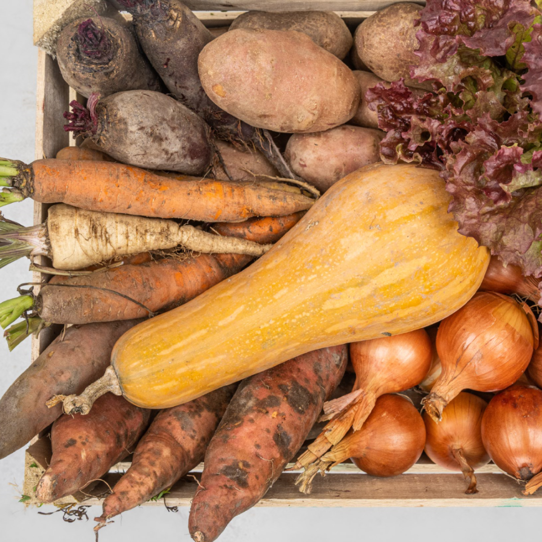 MyFarm Zöldség kosár - Téli előfizetés