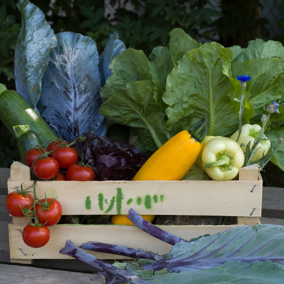 MyFarm Zöldség kosár - Nyári előfizetés 2026