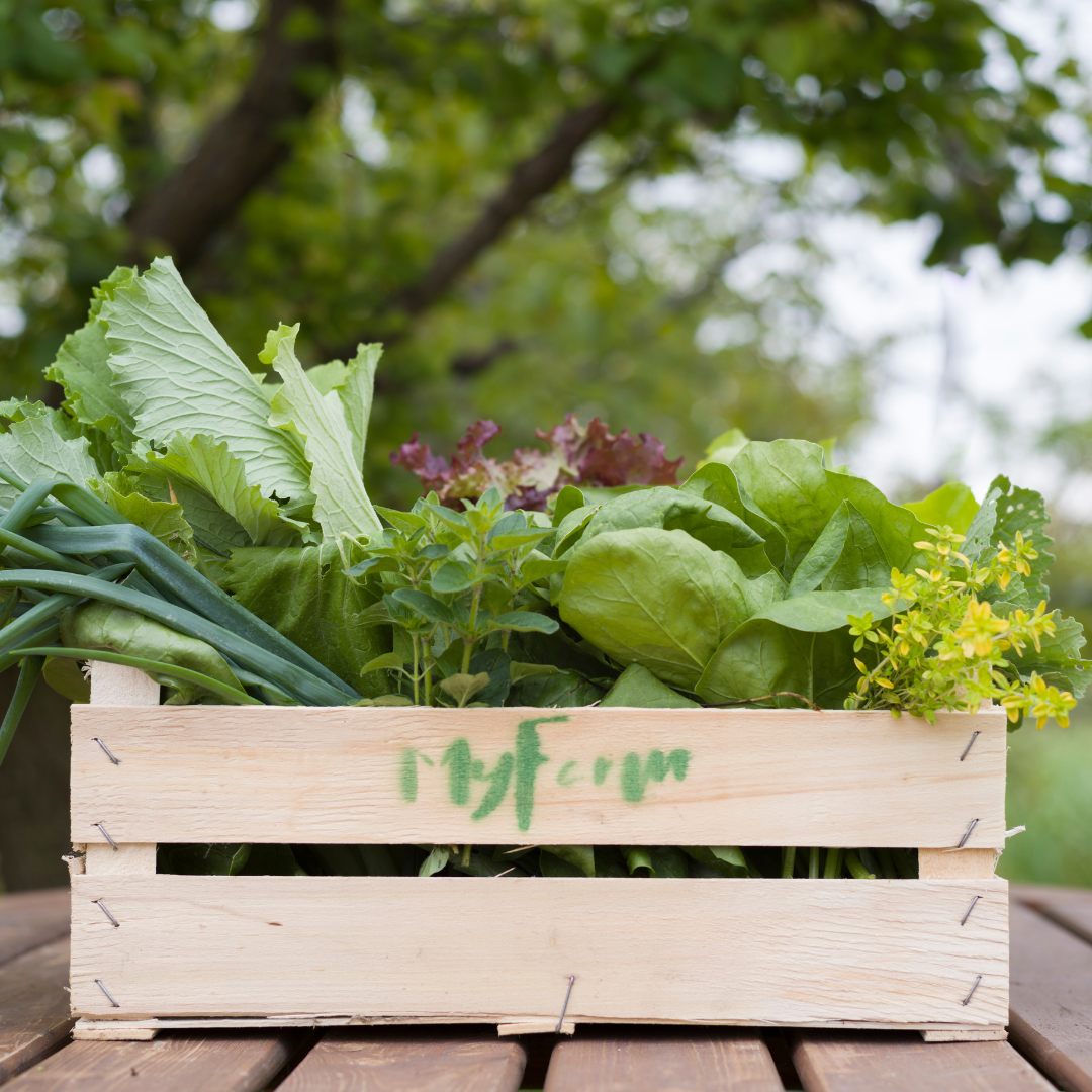 MyFarm Zöldség kosár - Nyári előfizetés 2026