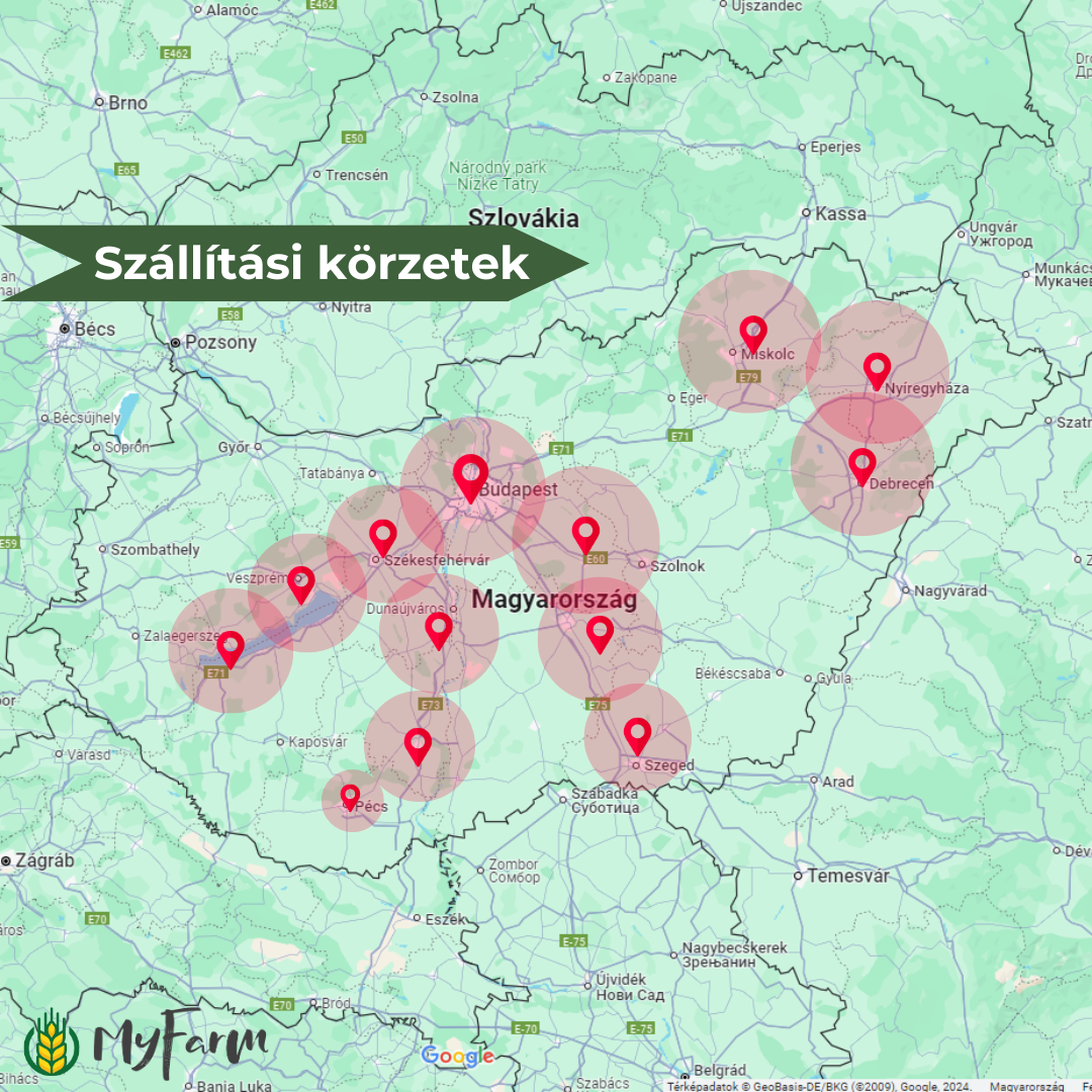 MyFarm Zöldség kosár - Nyári előfizetés
