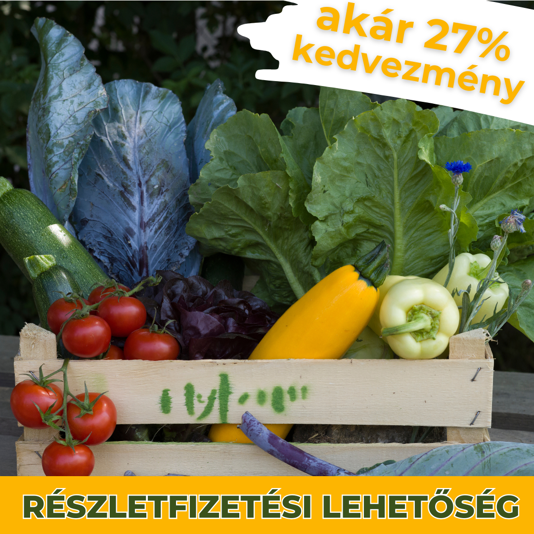 MyFarm Zöldség kosár - 3 hónapos nyári előfizetés