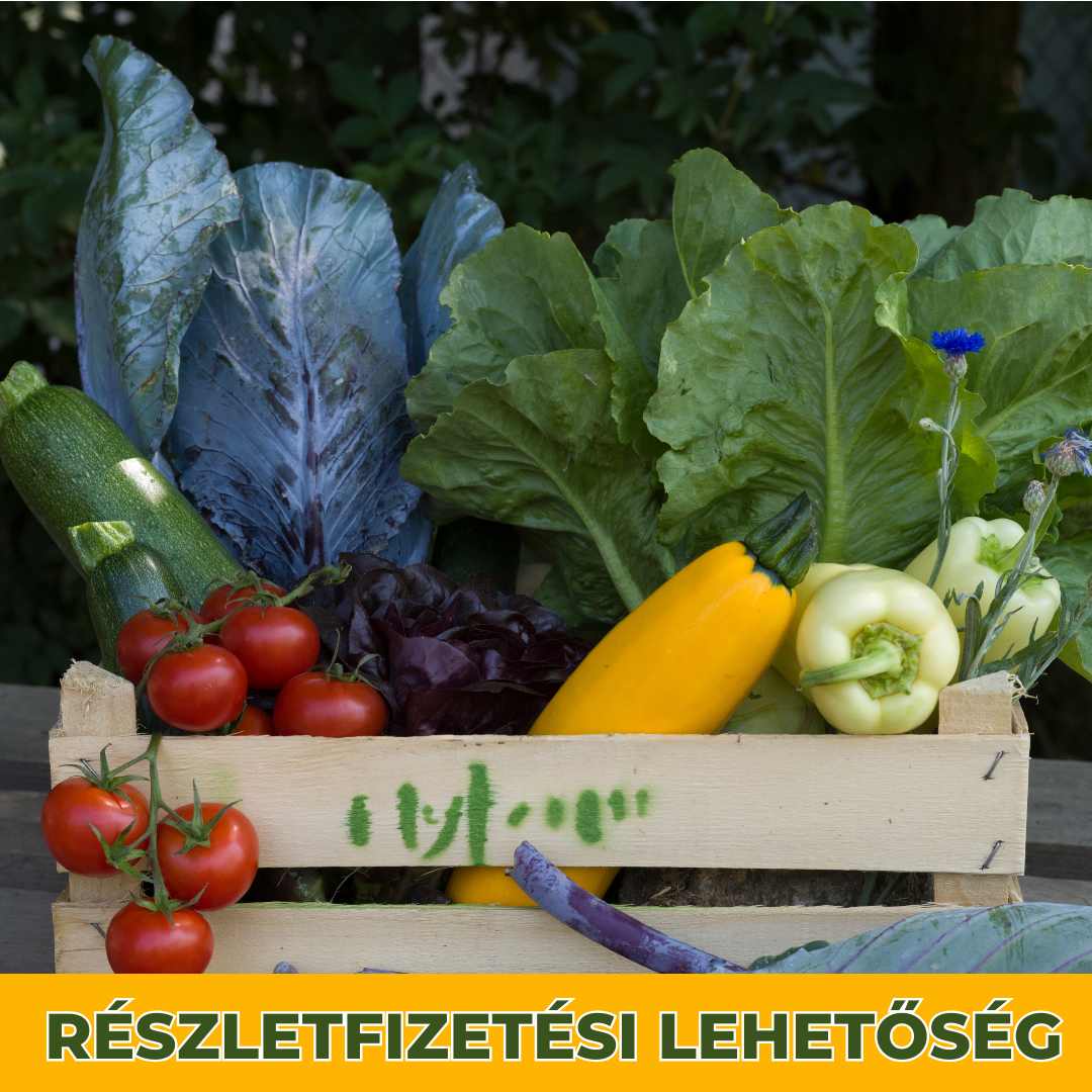 MyFarm Zöldség kosár - 3 hónapos nyári előfizetés