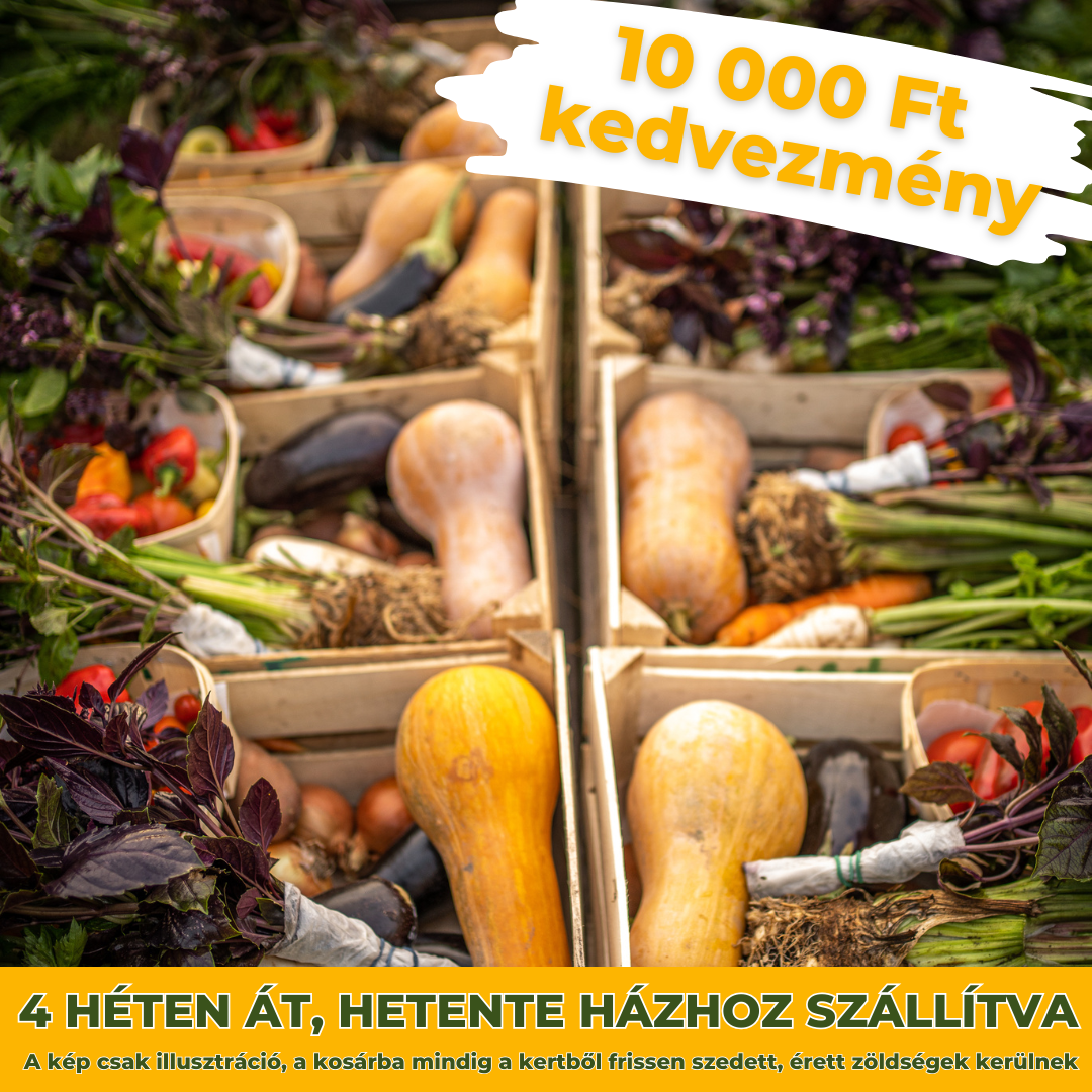 Havi előfizetés- Október ízei
