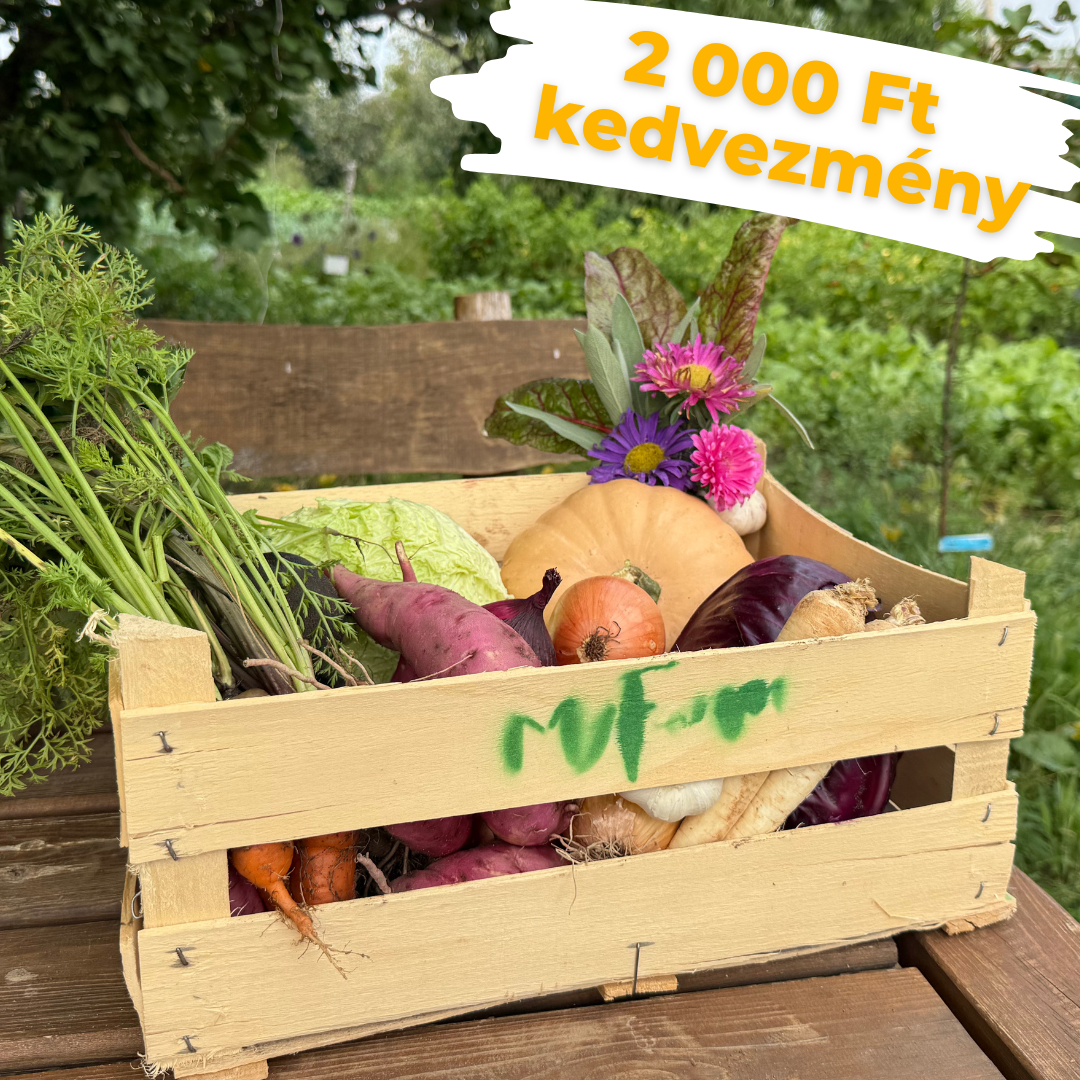 Októberi próbakosár