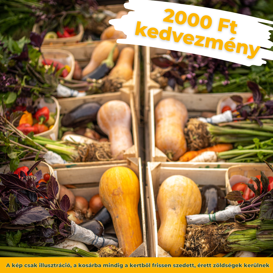 Decemberi próbakosár