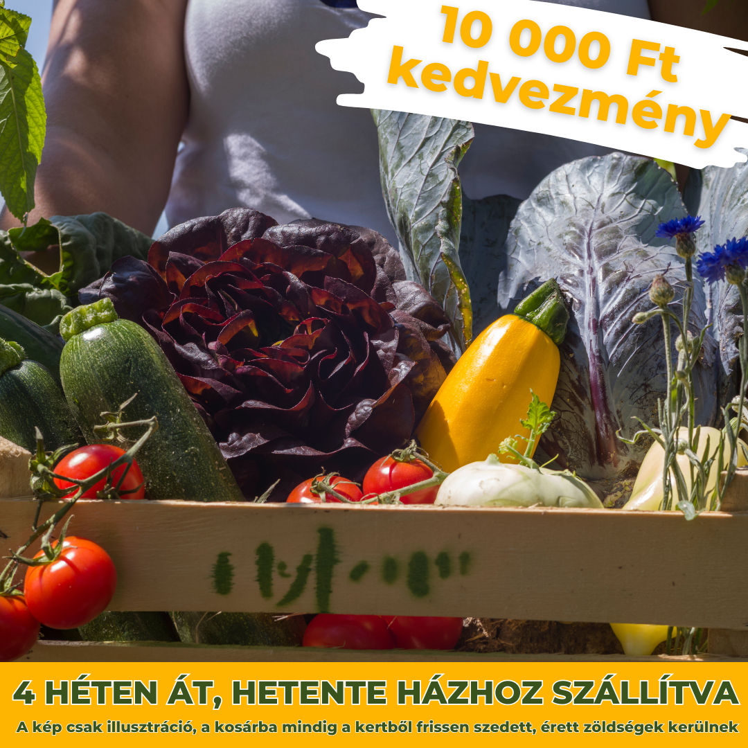 Havi előfizetés- Szeptember ízei