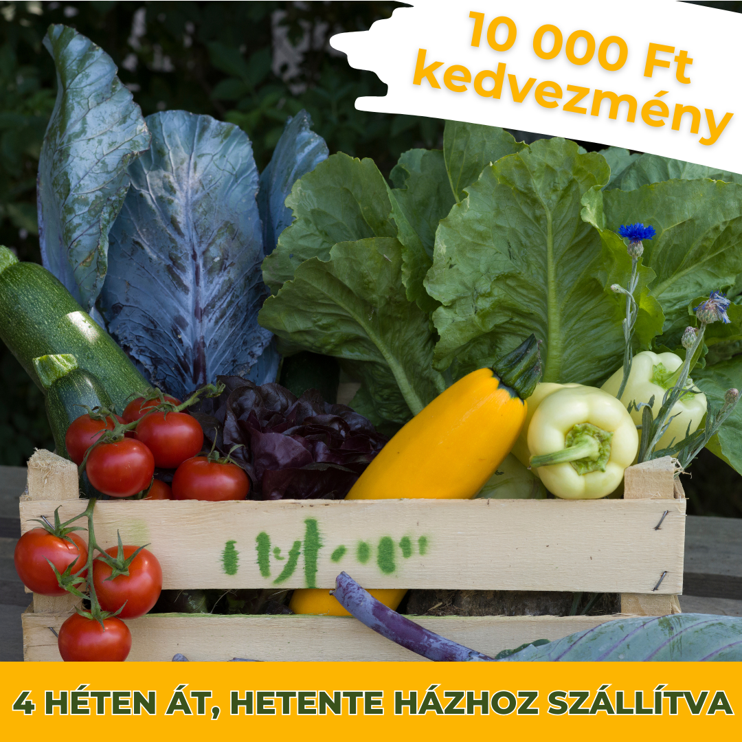 Havi előfizetés- Július ízei